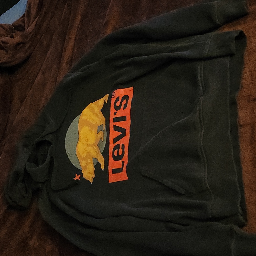 Mens Levi's Hoodie